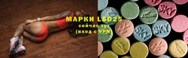 СК Аркадак