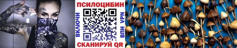 Купить закладки  Ермолино  Псилоцибиновые грибы Cubensis 
